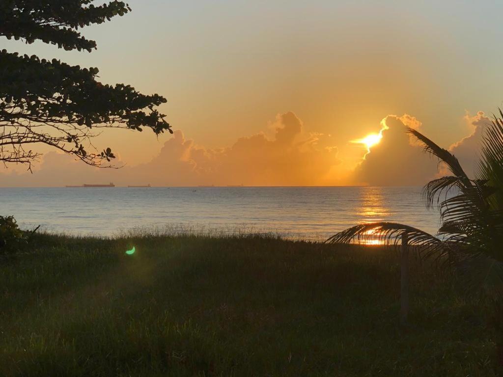 Flat Na Praia Da Costa 维拉维尔哈 外观 照片
