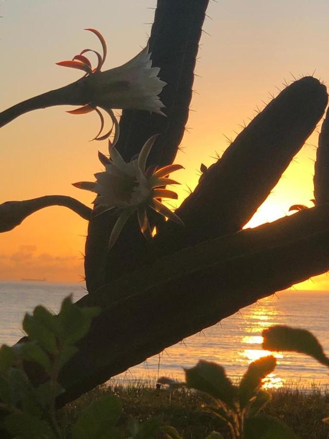 Flat Na Praia Da Costa 维拉维尔哈 外观 照片